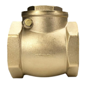 40MM BRASS FLAP CHECK VALVE